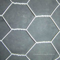 Manufacturer of Hexagonal Wire Mesh for America, Italy, South America